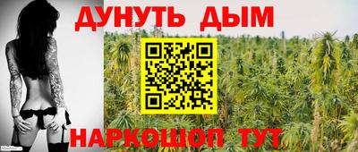 индика Дубна