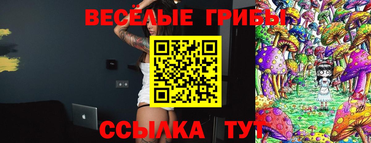 Псилоцибиновые грибы мухоморы  Вход с VPN  Лесосибирск  Псилоцибиновые грибы Cubensis 