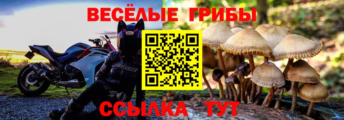 Псилоцибиновые грибы Cubensis Лесосибирск